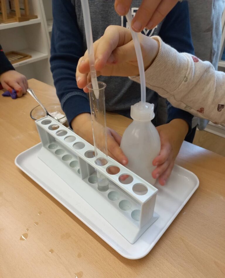 Kindergärten zu Gast an der Montessori Dorfschule MuWi