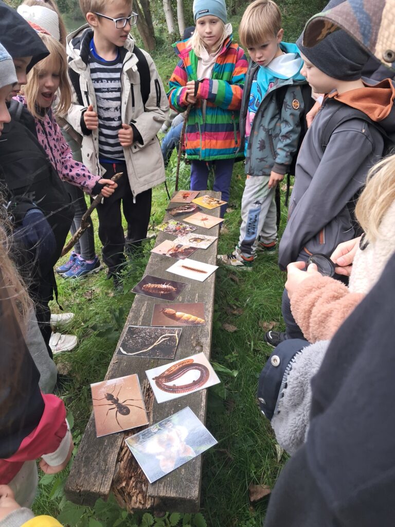 Ein Tag in der Au – Die Montessori Dorfschule MuWi erlebt Natur hautnah mit Waldpädagogin Martina Schneider