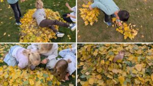 Blätterwirbel & Herbstzauber im Hort