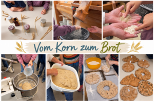 Vom Brot zum Korn
