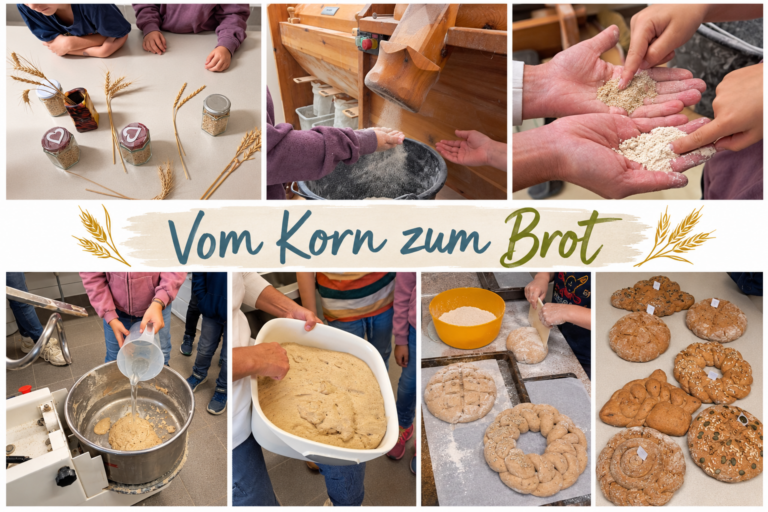 Vom Brot zum Korn